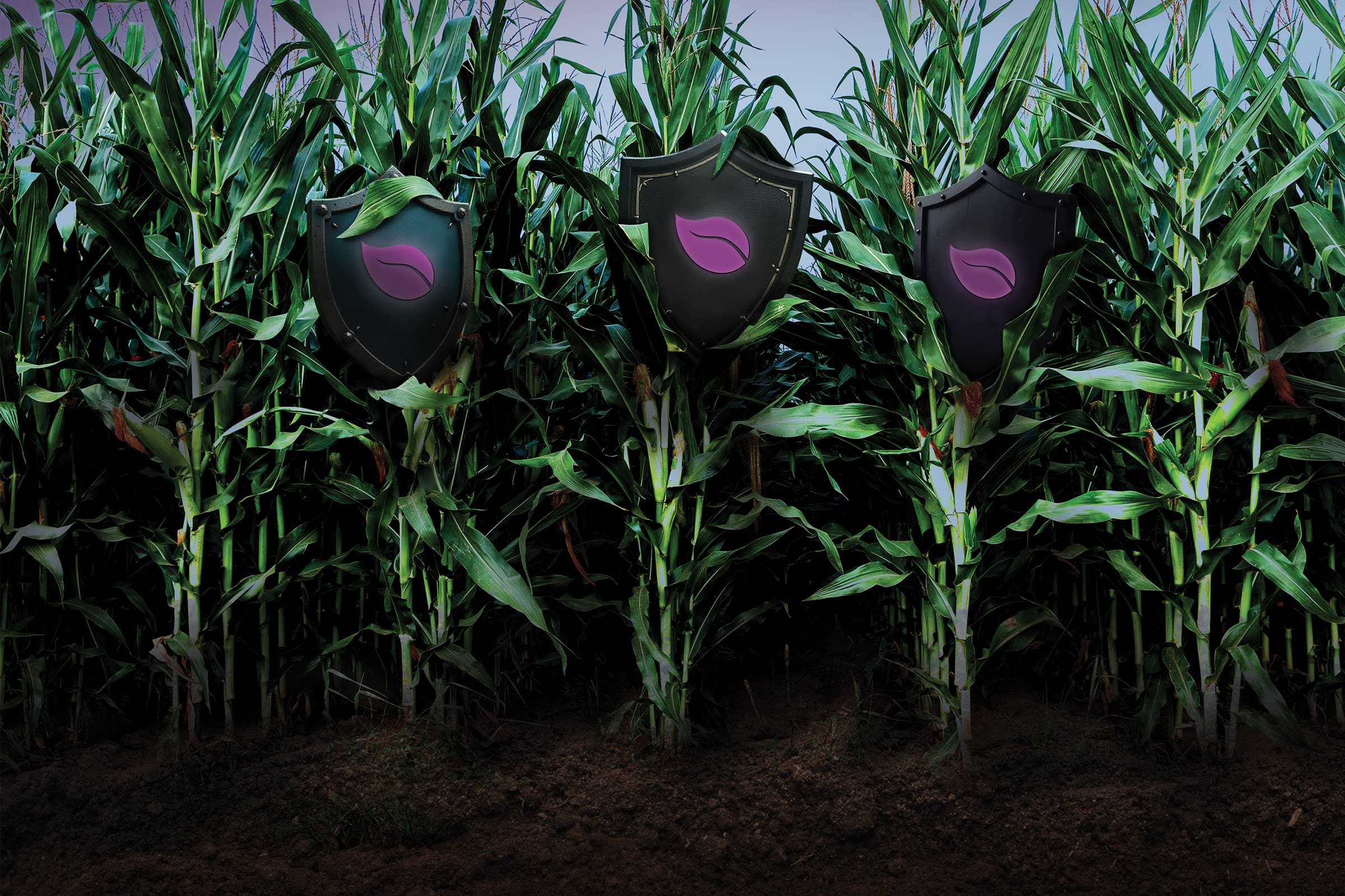 TIDAL GROW AGRISCIENCE