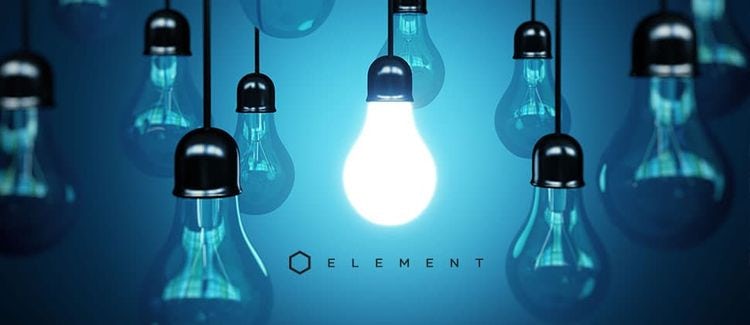 Element Employees Showcase Their Unique Talents!