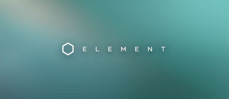 Element Signs Designer for $134 Million