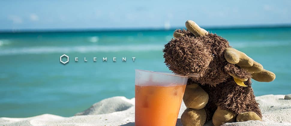 Moose-Tested Cabin Fever Cures on Instagram