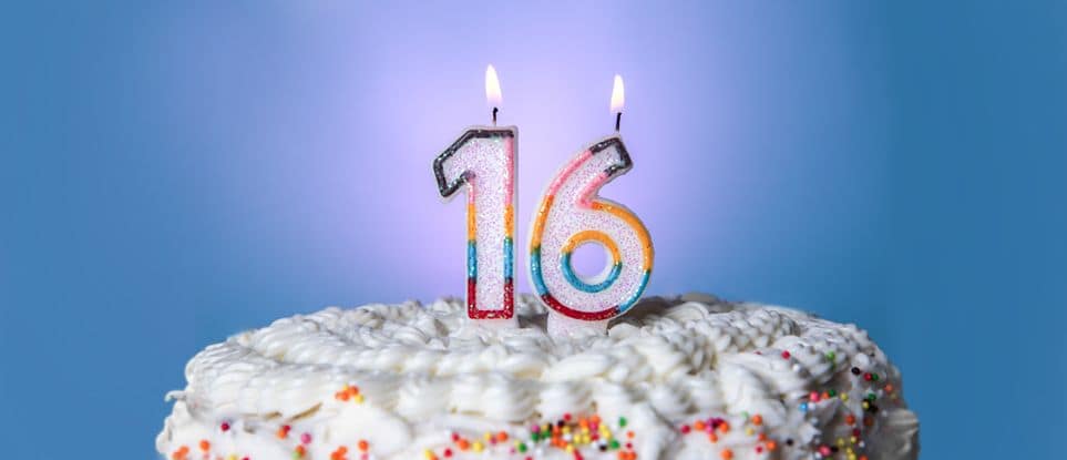 16 Years and 16 Things We Love About Element