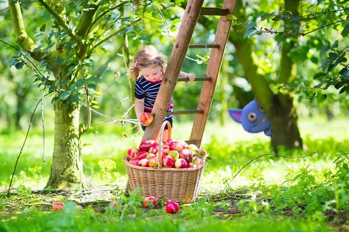 harvesting fruit to feed your content marketing beast