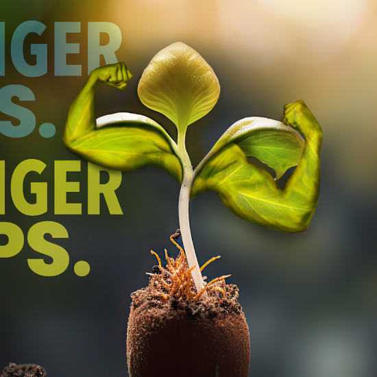 Tidal Grow AgriScience Featured Image